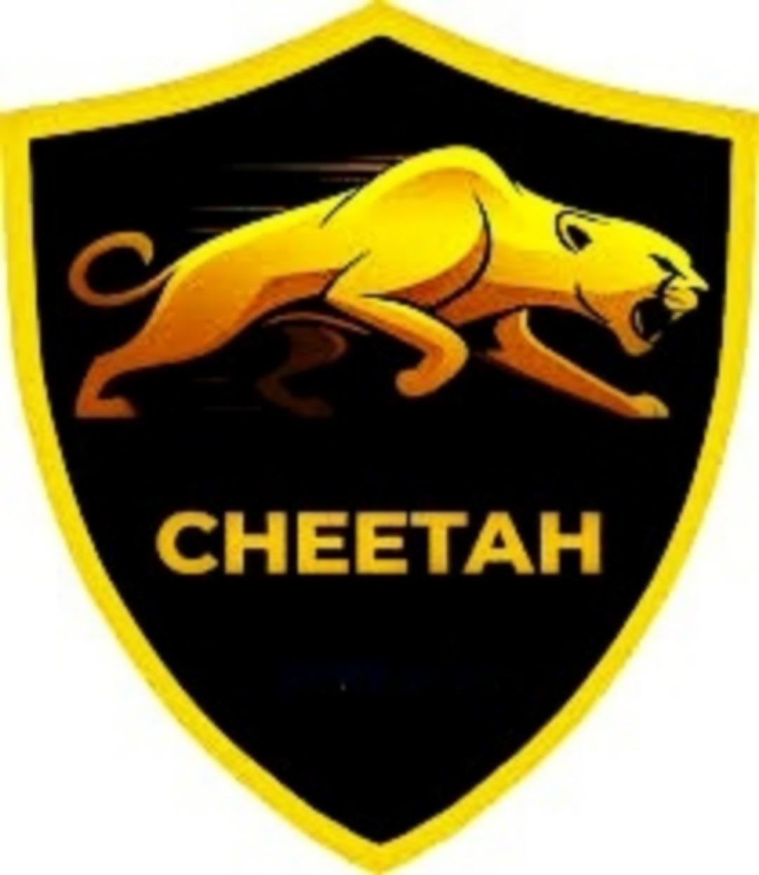 Cheetah Pro Tool 4 Hours  Fast (24x7)